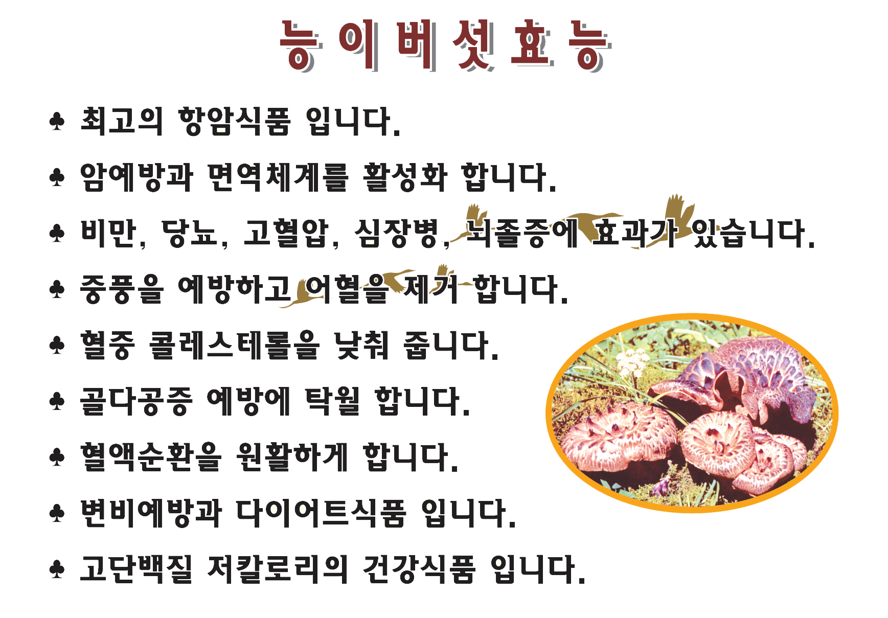 나능이능이버섯백숙 중문점 사진 6