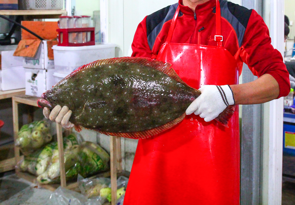 성산포자연산회센타 사진 2