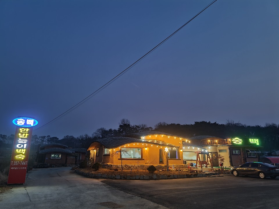 송백 4