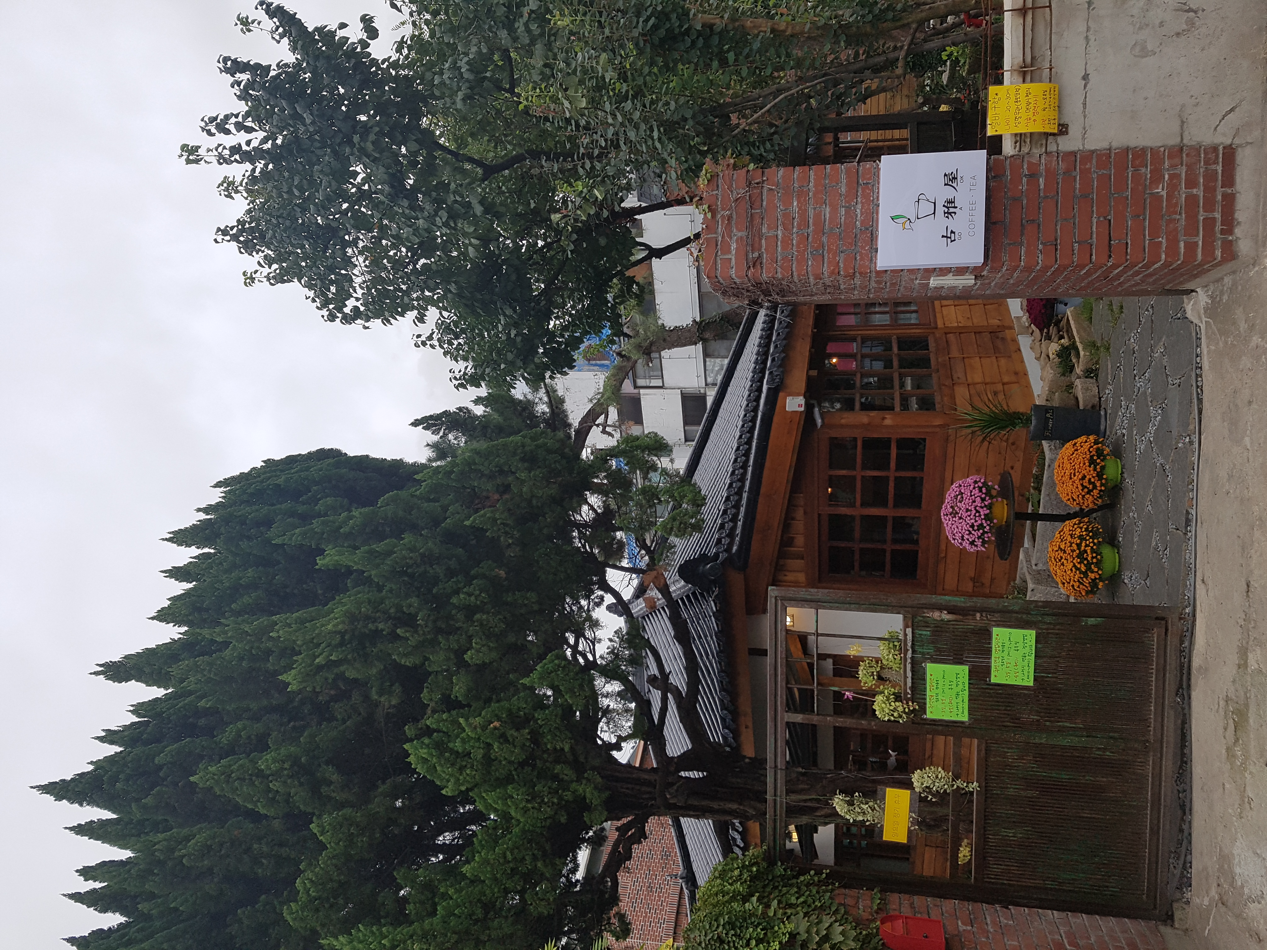 Goaok (고아옥) 1