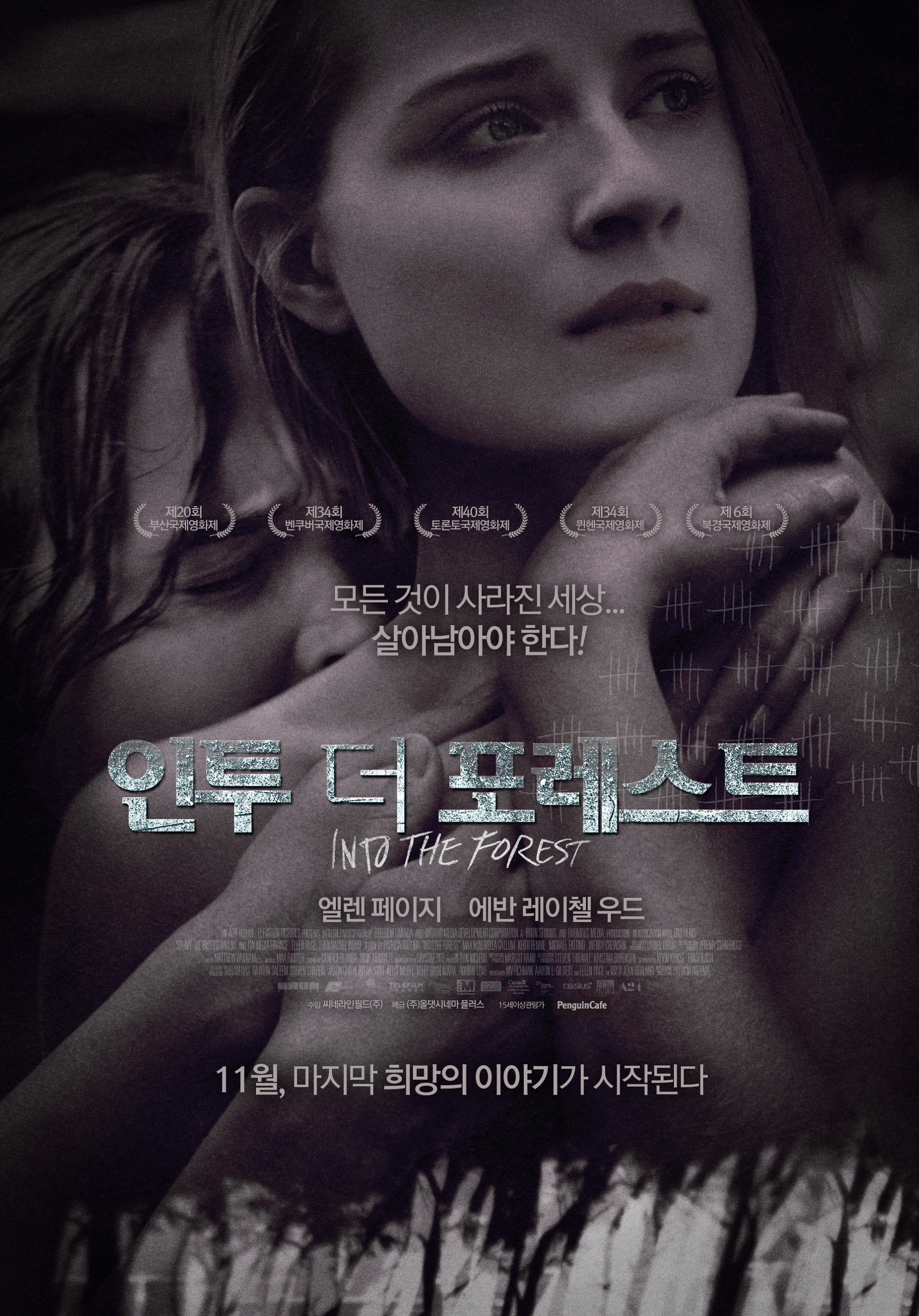 인투 더 포레스트