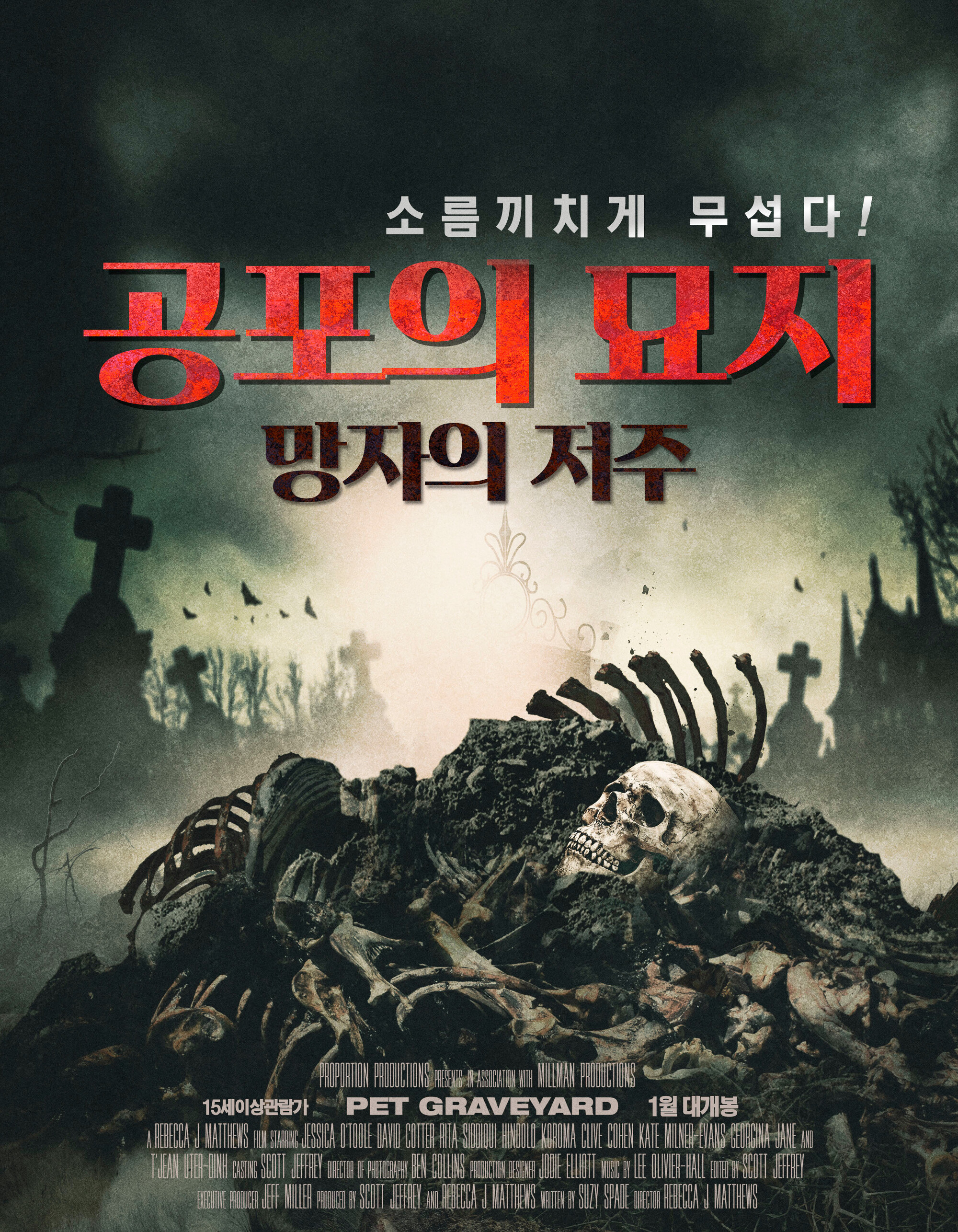 공포의 묘지: 망자의 저주 | 다음영화