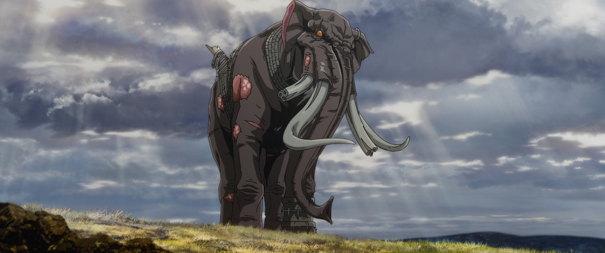 55989d20e37ab4637a419c2fa4ac653b40979da9