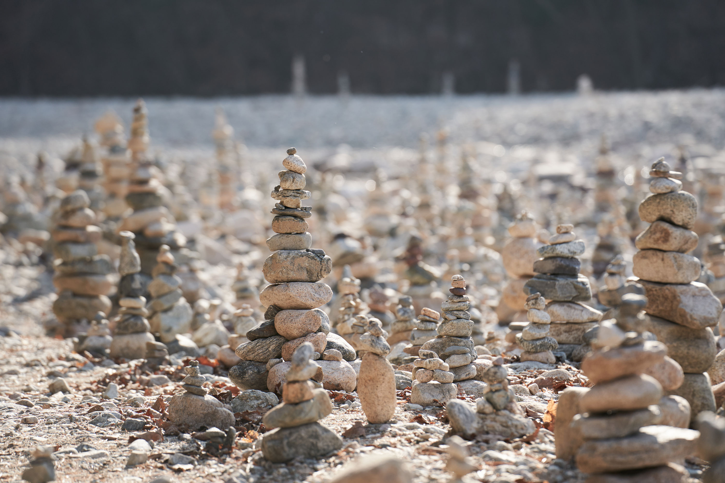 5ce600c1a3b0f7dee75e01bf1c013650358fe6a2