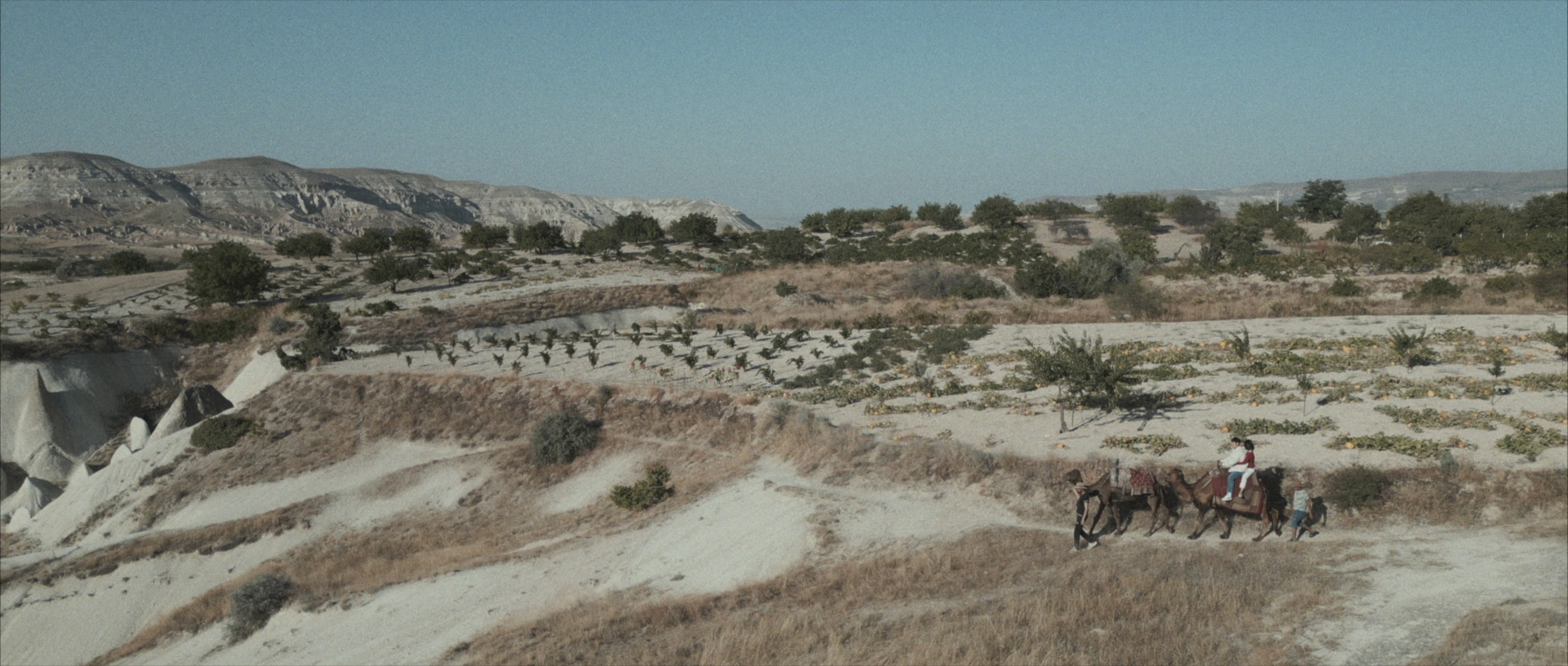 8d12847cce5f16b8c5c5fb4f689167baf1f13590