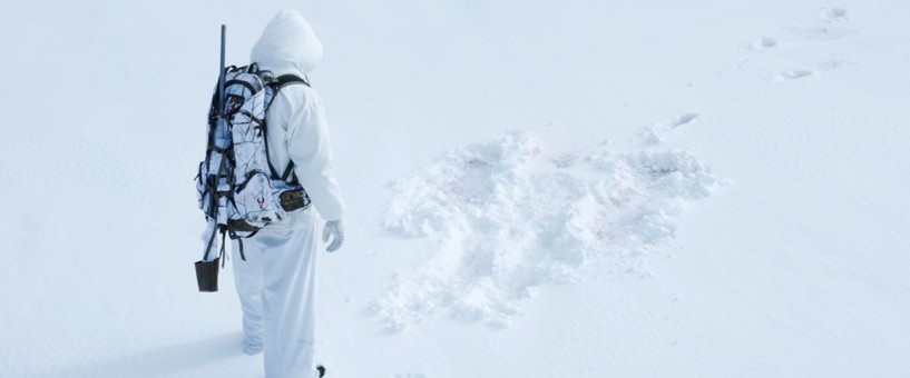 a53c8ffe294d8215e79003ddd0e2c9caf46ce7fd