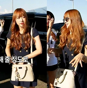 자연미인은 인증은 기본, 유학파 출신의 뇌섹녀