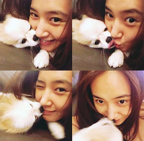 소녀시대 인생사진 짤줍 드루와 