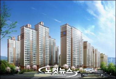 노컷뉴스