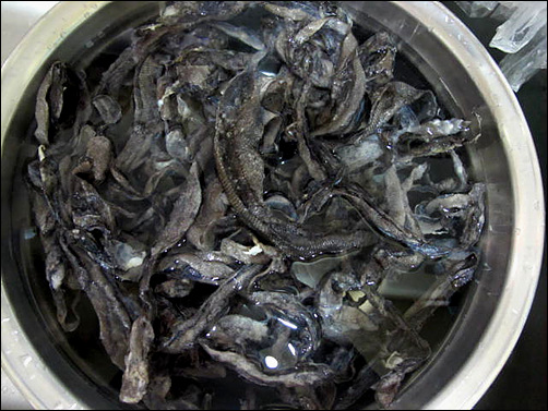 물고기껍질이 맛난 묵이 된다고?