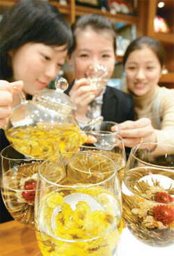 국화차