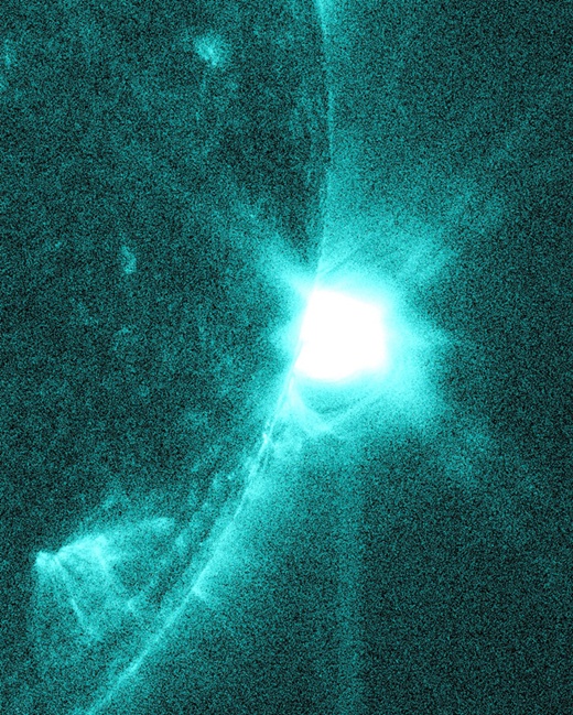  나뭇잎이 녹색인 이유 | 인스티즈
