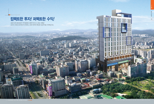 머니투데이