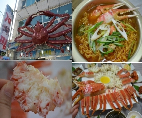 [맛집]겨울 바다여행객 입맛 사로잡는 '속초게찜'