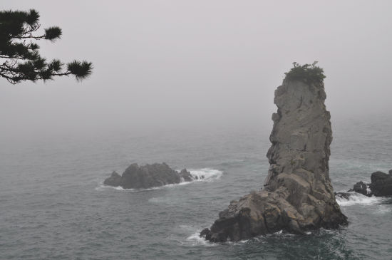 한장금 사진 4