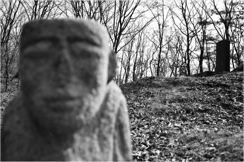 다양한 신분의 분묘가 자리한 이말산을 사진에 담다