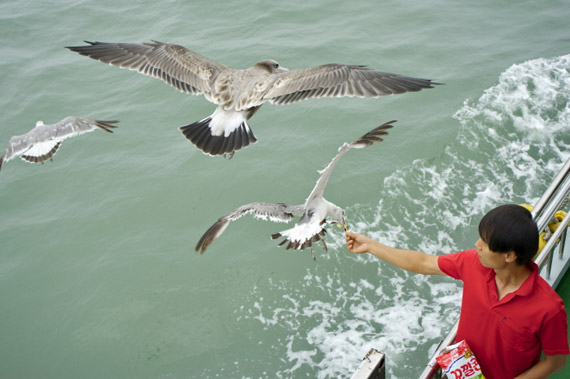 우리나라 최초의 등대, 인천 팔미도등대