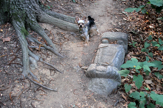 [한 장의 다큐] 이말산에 묻힌 역사