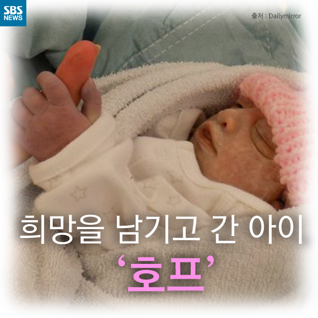 천사호프 대표 사진