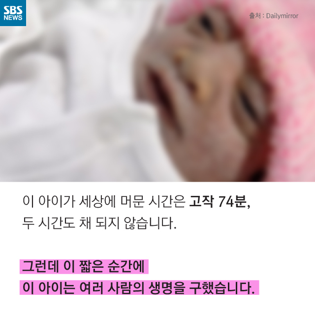 천사호프 사진 3