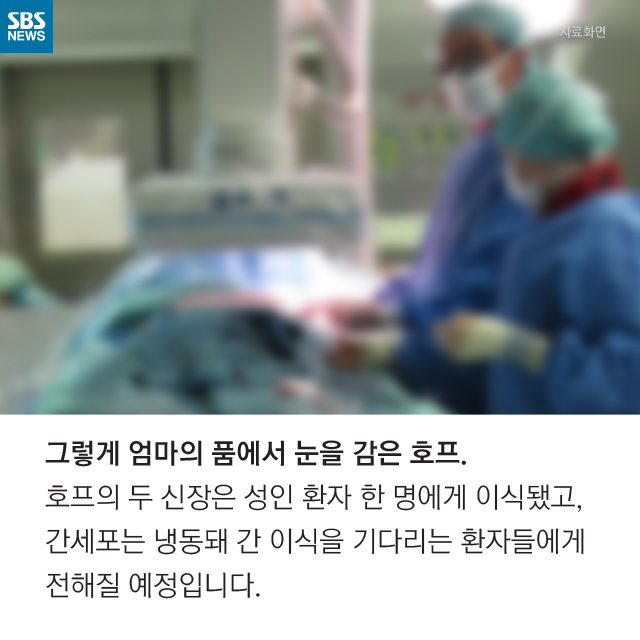 천사호프 사진 4