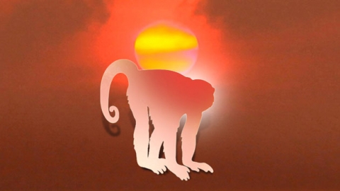 재주많고 지혜로운 '붉은 원숭이'의 해 - YTN