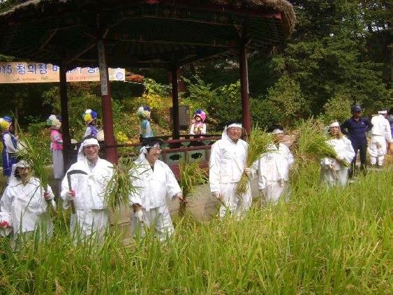 창덕궁 옥류천에서 맞이하는 신명 나는 가을걷이