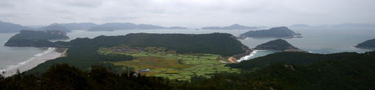 관매도 돈대산 정상에서 관매마을 쪽을 내려다본 모습. 왼쪽이 관매해수욕장이고, 가운데 초록빛으로 빛나는 곳이 모두 메밀밭이다.