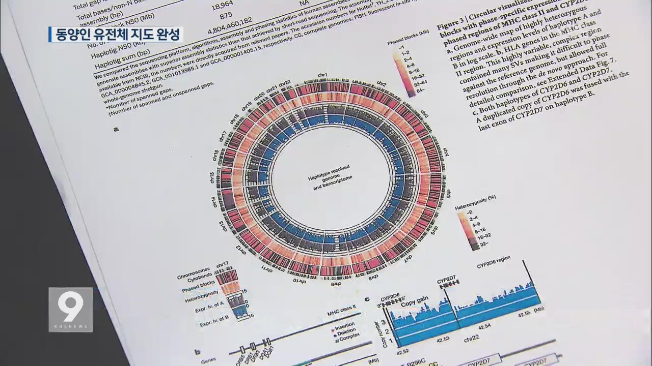 앵커and리포트 아시아인 비밀 밝힐 유전체 지도 완성 6438