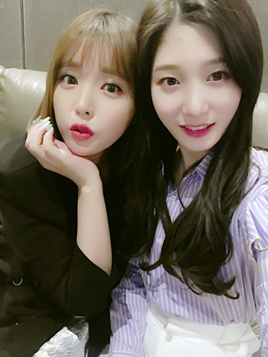 정채연, 홍진영