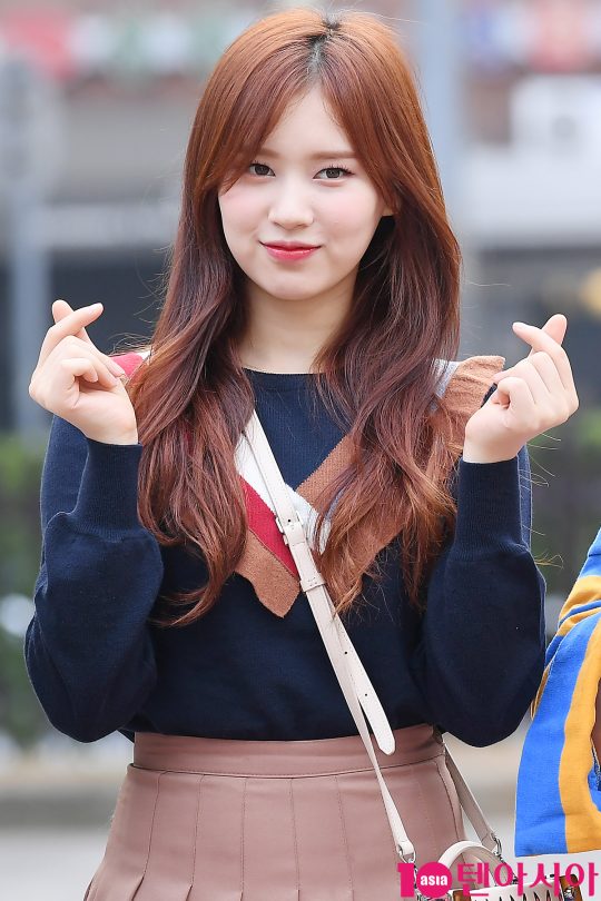 엘리 이미지