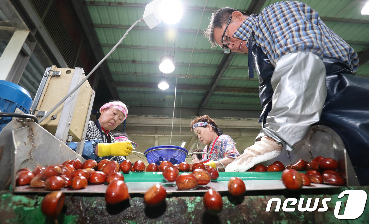 정안밤생산자영농조합법인 이미지