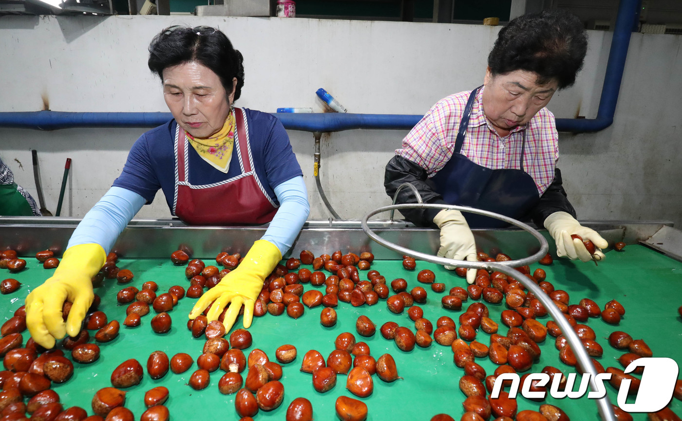 정안밤생산자영농조합법인 이미지