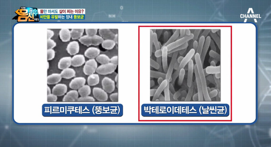 김뚱보 이미지