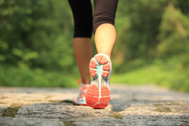 하루 30~50분, 일주일에 5회 정도 속보로 걸으면 건강에 도움이 된다. 게티이미지뱅크