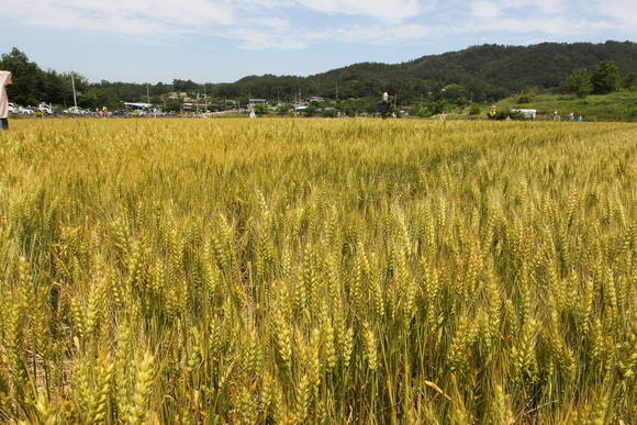 국제제과(주) 이미지