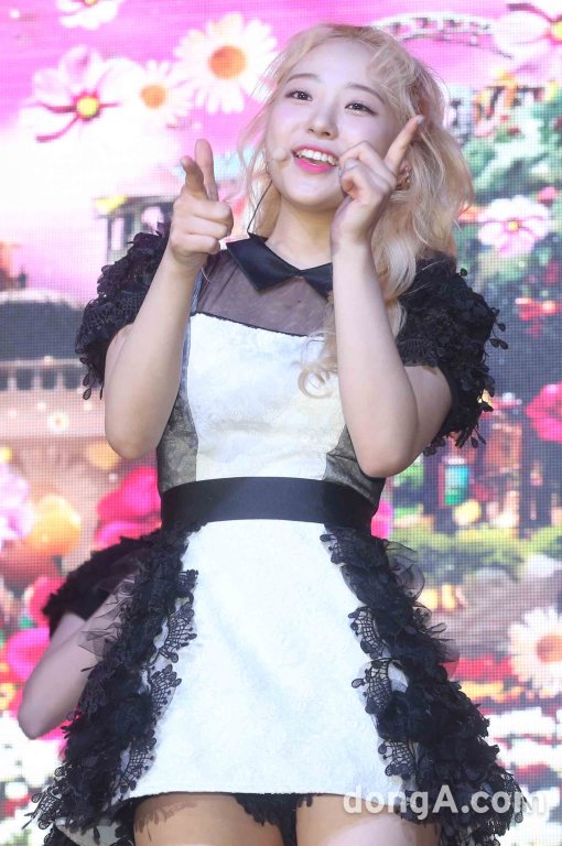 혜성닷컴 이미지