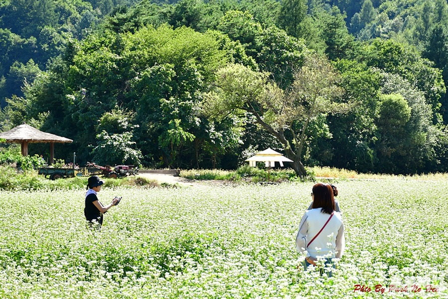 즐거운꽃밭 이미지