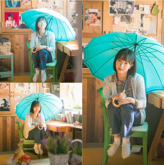보나 이미지