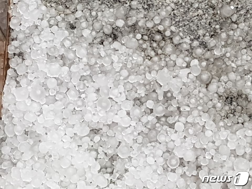[국도3] 충주시 만정리 이미지