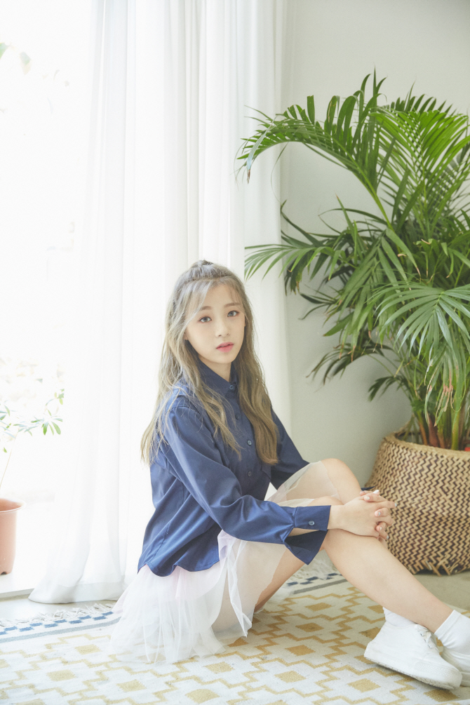 진솔 이미지