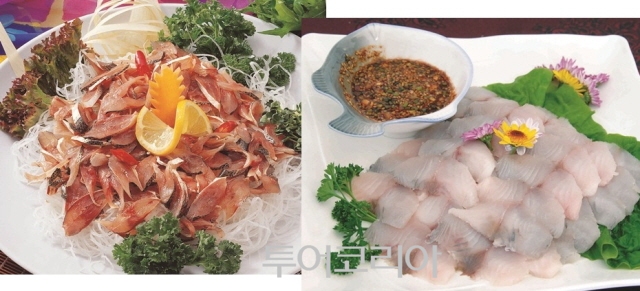 싱싱투어 이미지