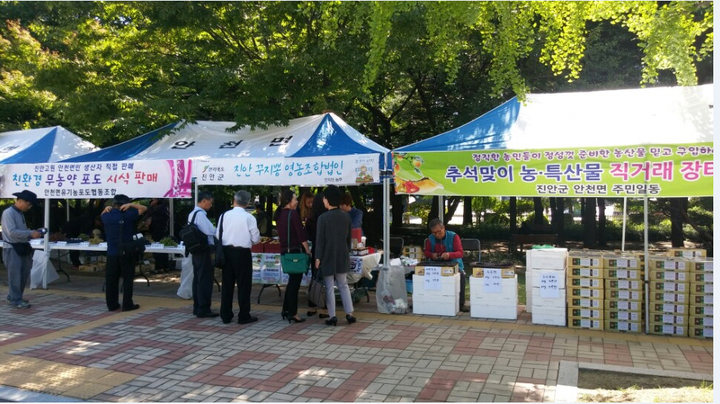 농산물포도판매 이미지