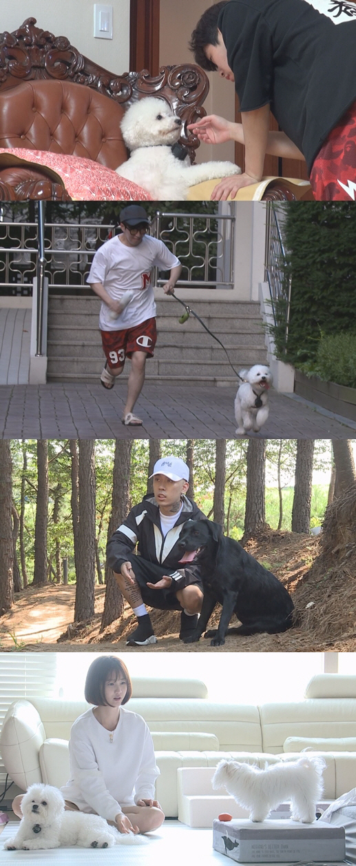 디디스포츠 이미지