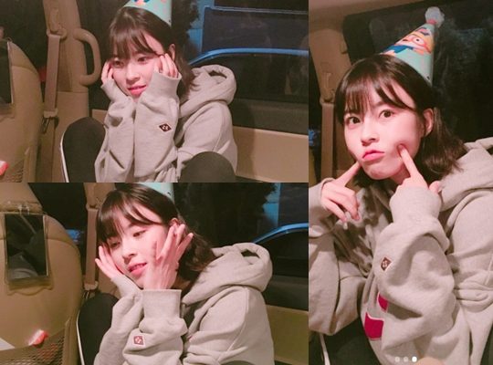일진란제리 이미지