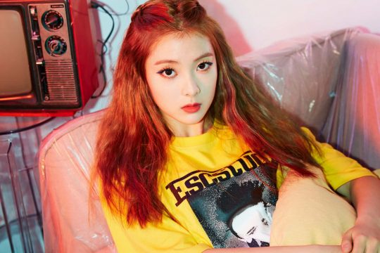 더쇼 이미지