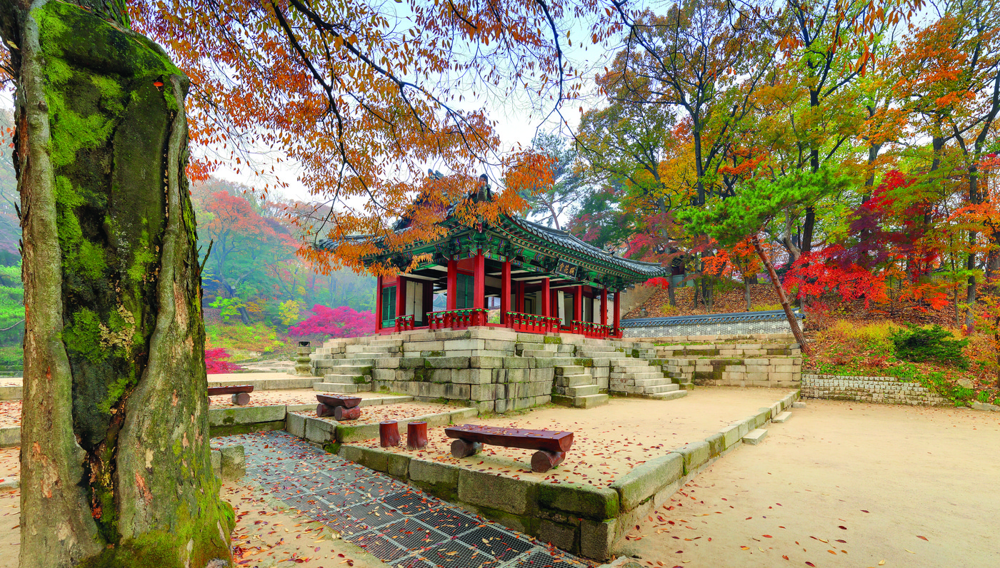 동네미장원 이미지