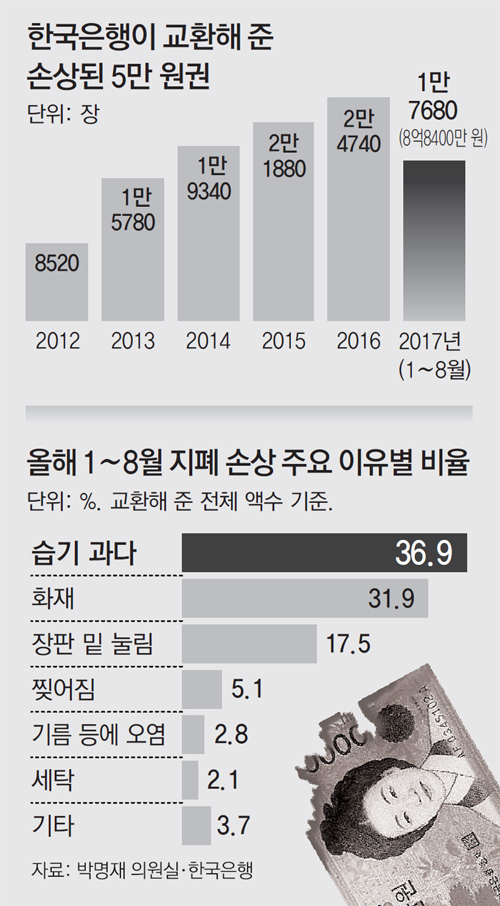 진채 이미지