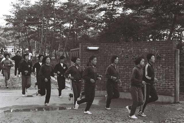 대한체육회 태릉선수촌 이미지