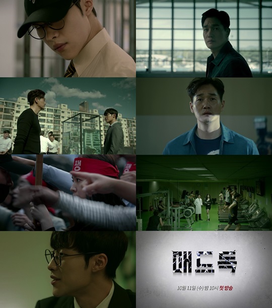 매드 이미지
